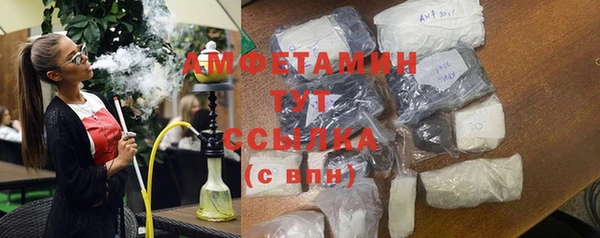 шишки Аркадак